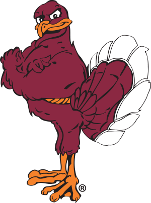 Hokie Bird