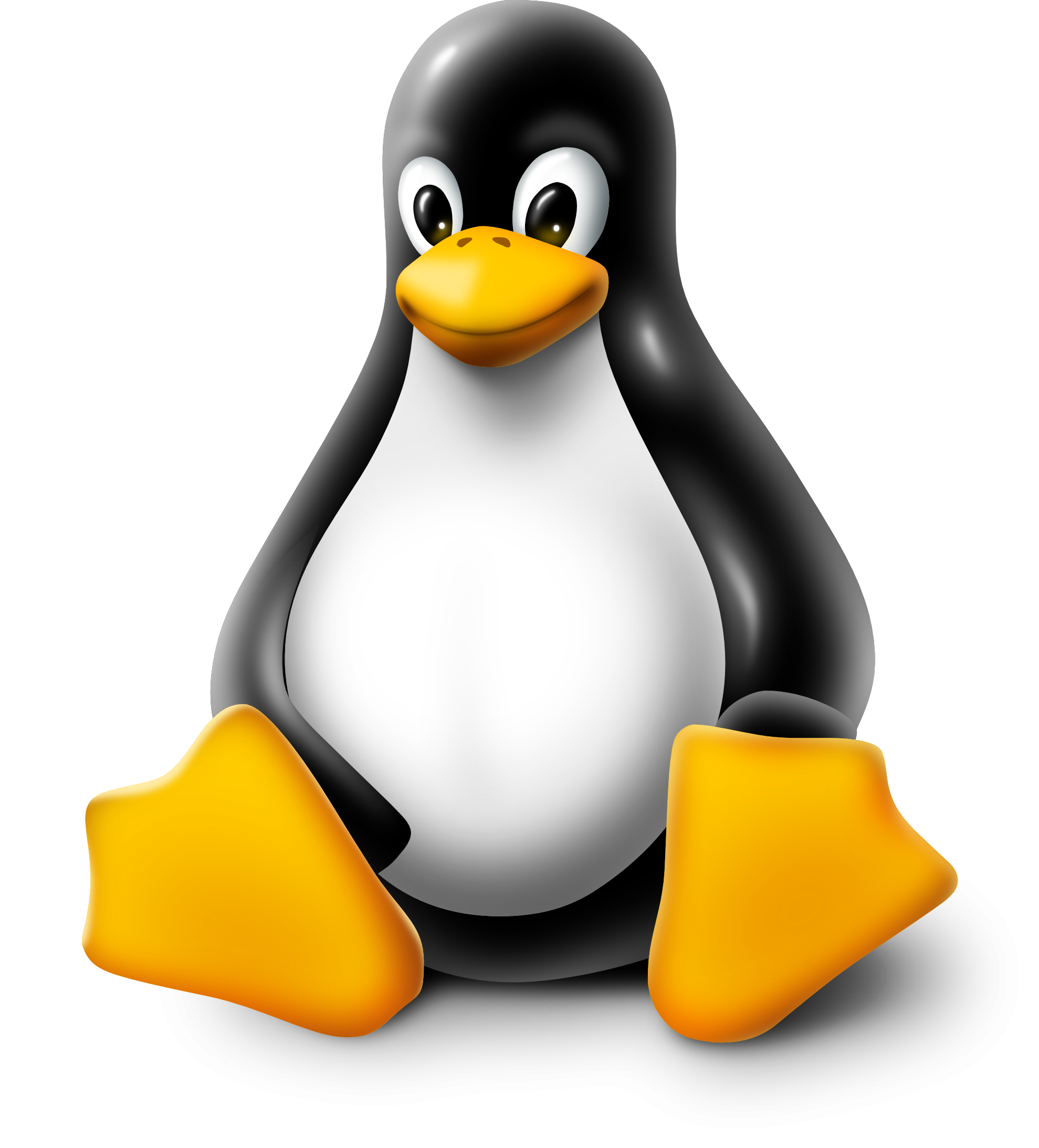 Linux CLI